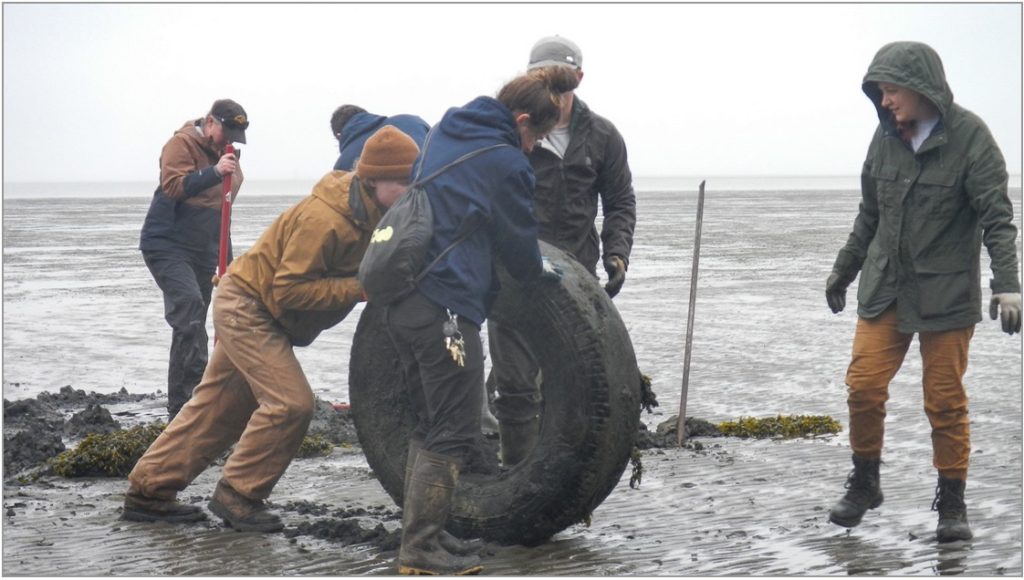 Partnerships Fuel Removal of Tires From Washington’s Waters